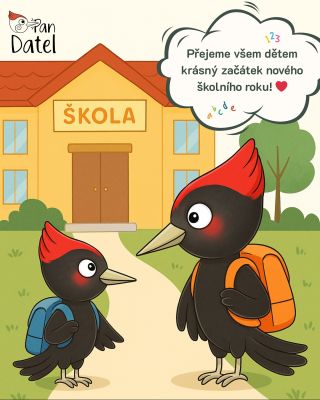 Začátek školky nebo školy je pro děti velká životní změna. 🌱 Pro ty nejmenší je to vůbec poprvé, kdy tráví delší čas bez...